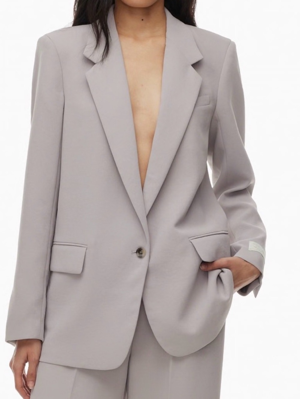 Aritzia Ashen Generation Blazer